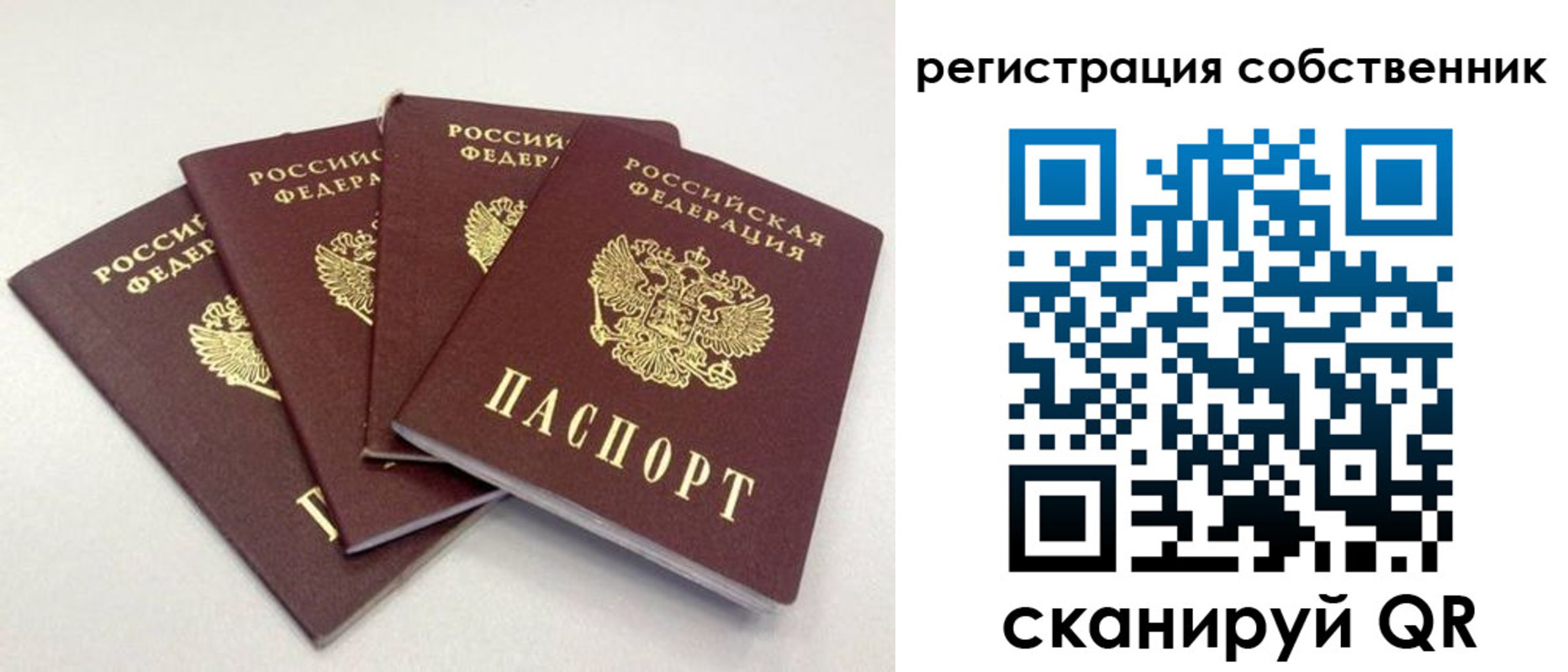 прописка для школы в Полярных Зорях